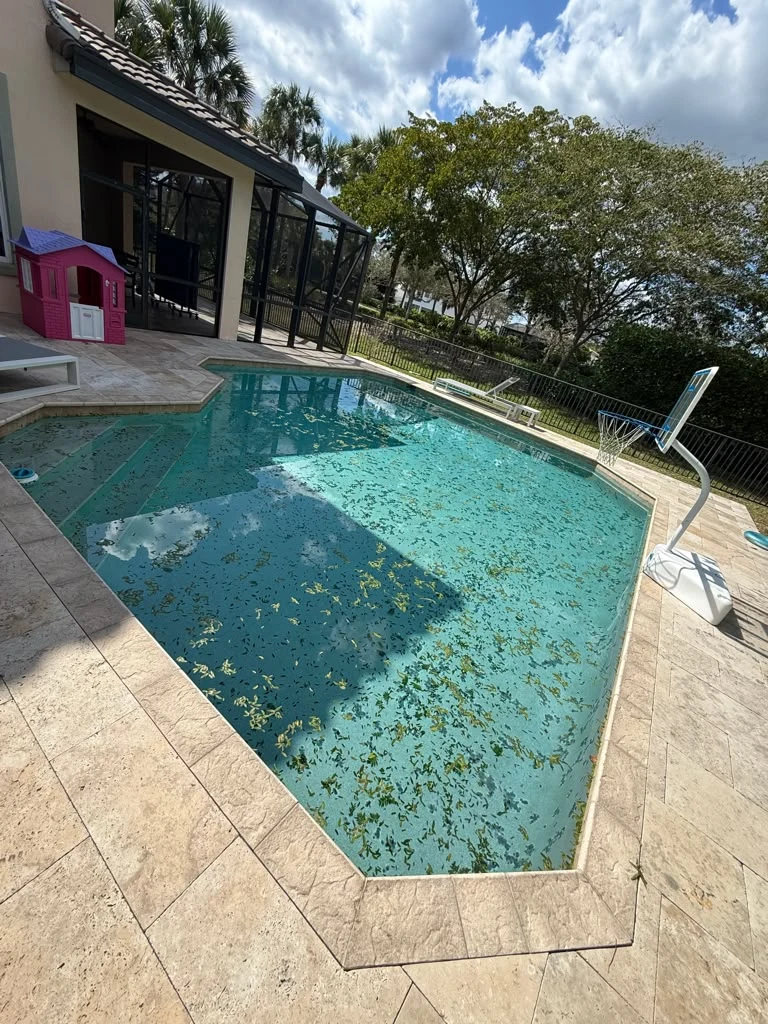 Pool before cleaning with leaves and debris in the water
