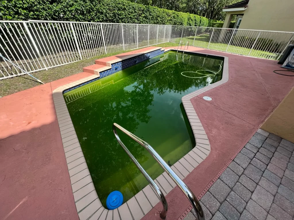 Pool before service with green water and a red pool deck