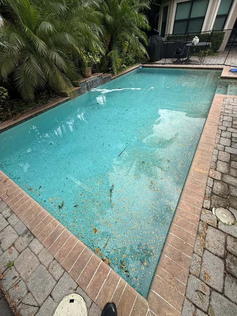 Pool before cleaning with leaves and debris across the bottom