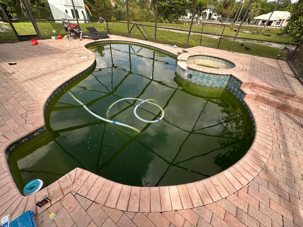 Pool before service with dark green water